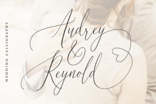 Audrey Reynold Font: Elevating Campaign Visuals