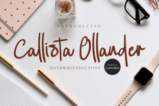 Callista Ollander Font: Elevate Digital Campaigns