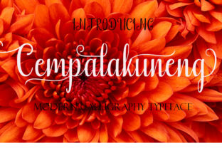 Cempalakuneng Font: Elevating Small Business Branding