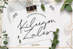 Kileegon Zales: A Designer’s Practical Review