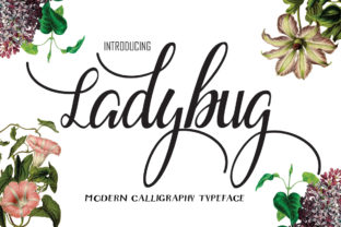 Ladybug Font Review: A Playful Script Typeface for Branding